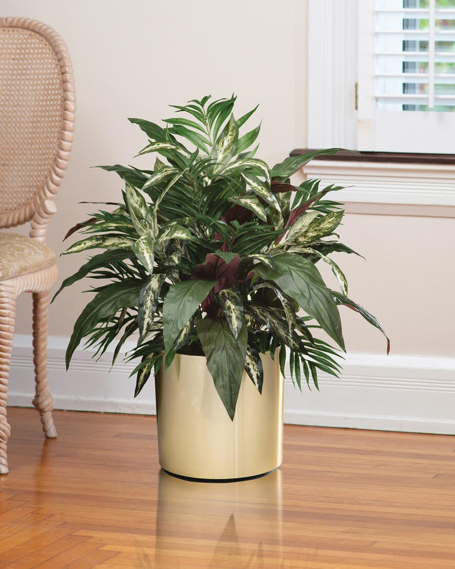Aspidistra, Palm & Silver King Silk Foliage Planter PLA504-GB