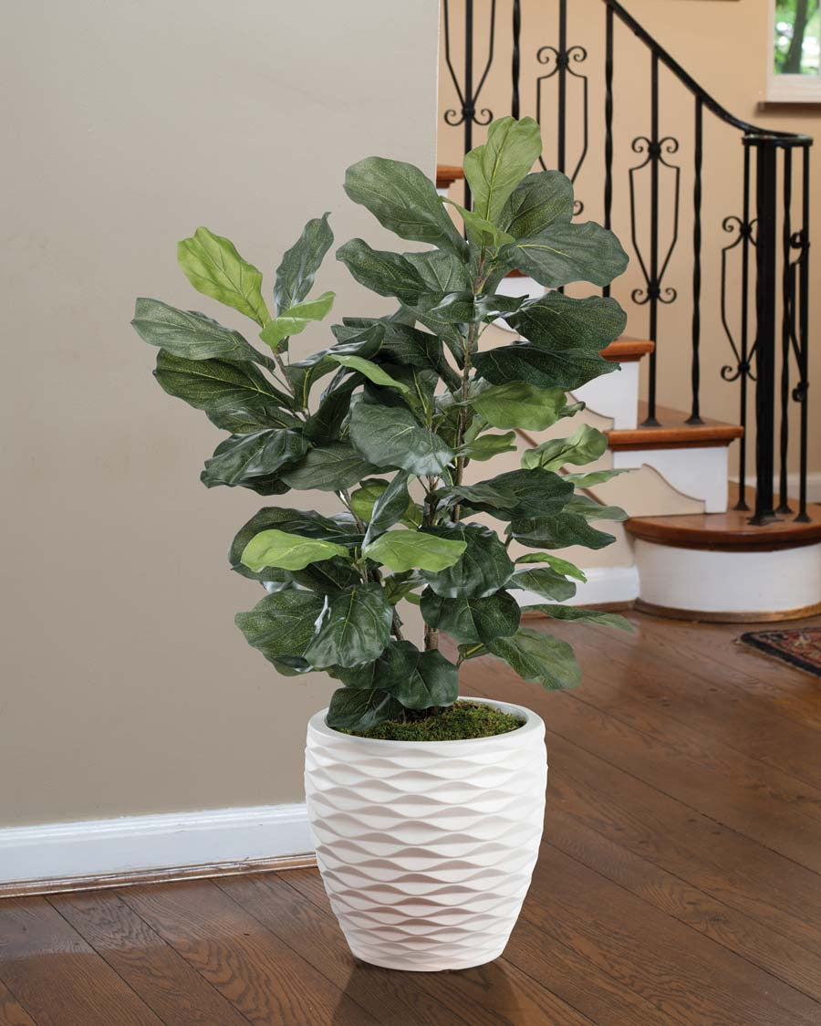 Fiddle Leaf Silk Plant PLA506-GR