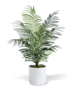 Faux Areca Palm Plant PLA507-GR