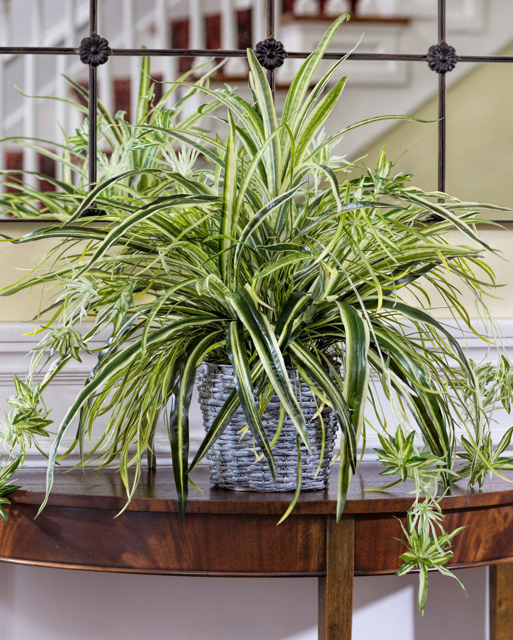 Hanging Spider Plant Silk Foliage Planter PLB409-GR