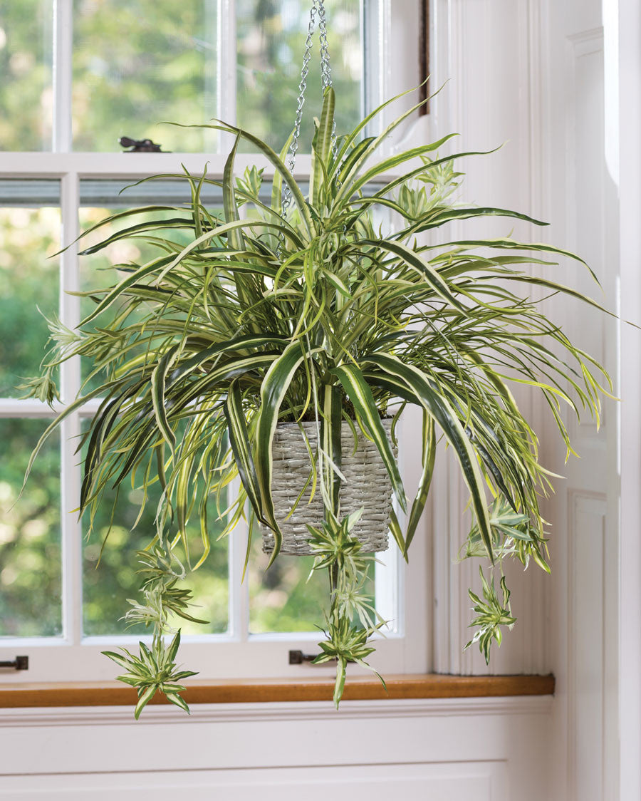 Hanging Spider Plant Silk Foliage Planter PLB409-GR