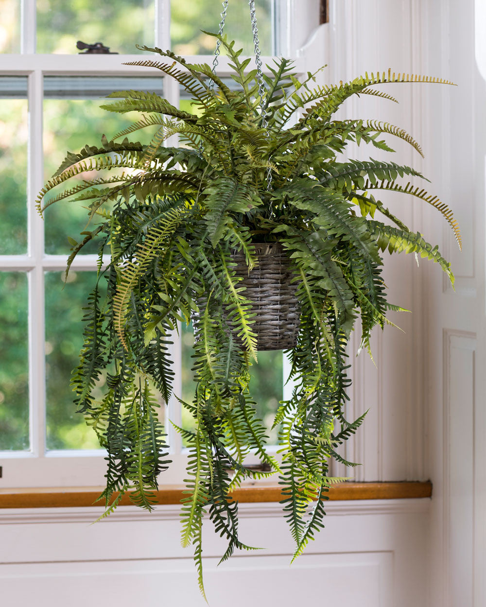 Mixed Hanging Ferns Silk Foliage Planter PLB410-GR