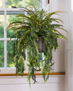Mixed Hanging Ferns Silk Foliage Planter PLB410-GR