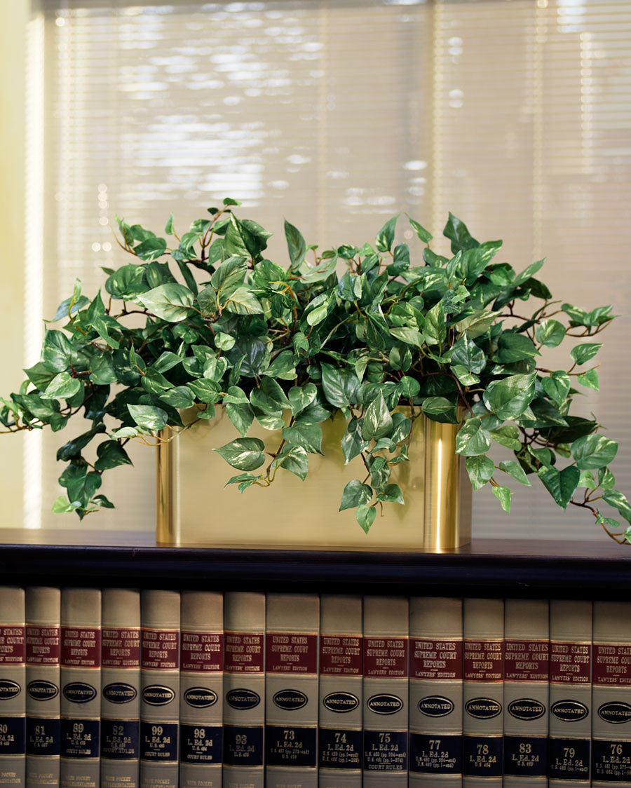 Courtyard Pothos Silk Planter PLC155-GC