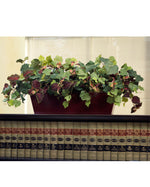 Coleus & Grape Ivy Silk Planter PLC313-GB