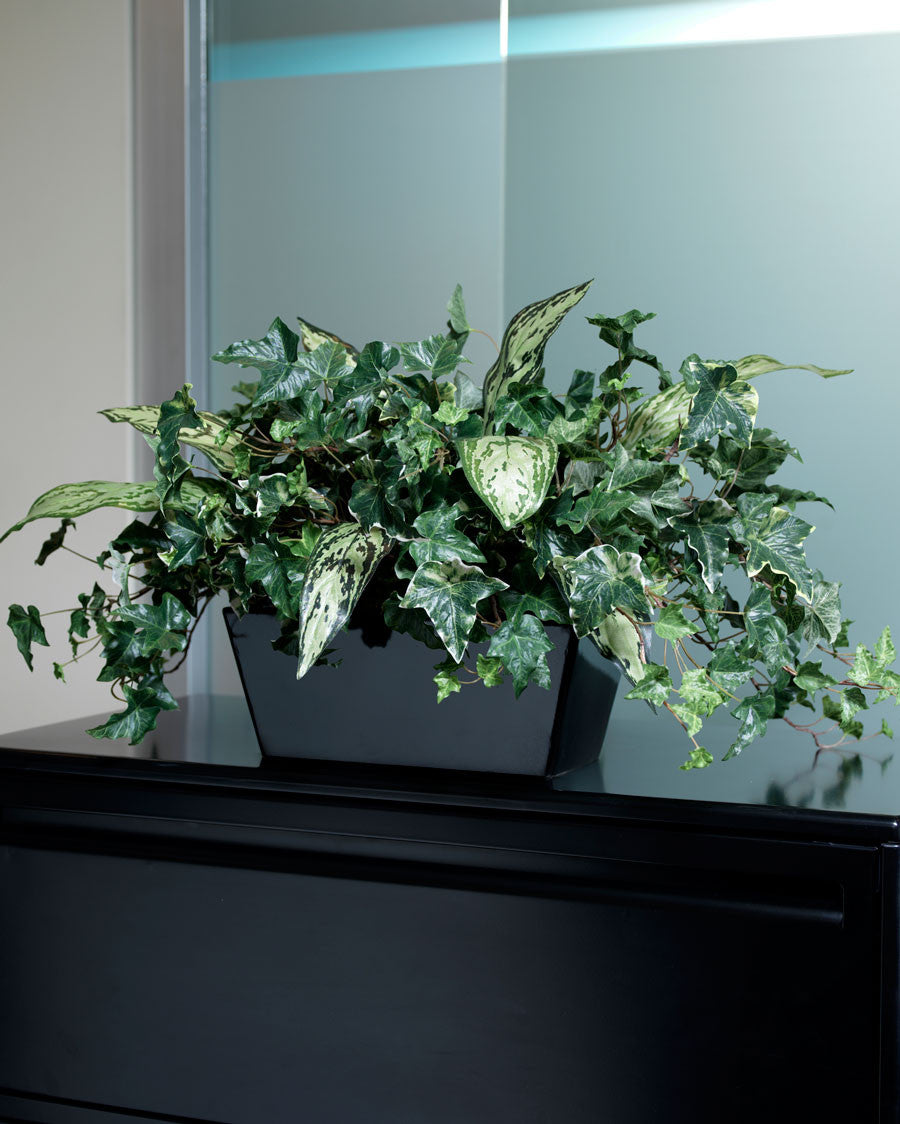 Ivy & Silver Queen Silk Planter PLC315-GR