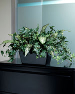 Ivy & Silver Queen Silk Planter PLC315-GR
