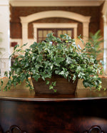 English Ivy Silk Planter PLC316-GR