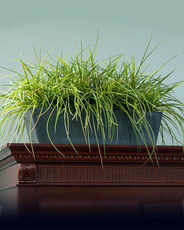 Faux Kenwood Grass Armoire Planter PLC335-GR