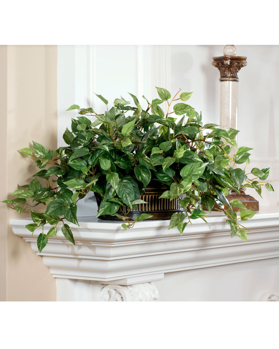Silk Pothos in Oval Planter PLD181-LF