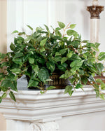 Silk Pothos in Oval Planter PLD181-LF