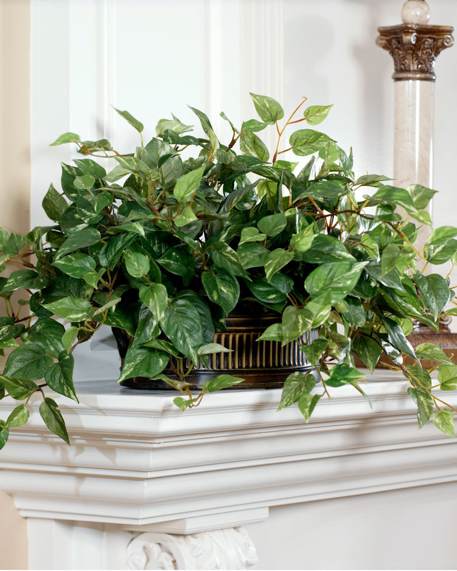 Silk Pothos in Oval Planter PLD181-LF