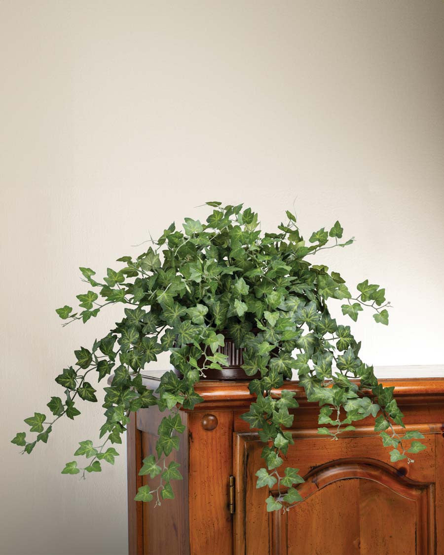 Cascading English Ivy Silk Planter PLD205-GR