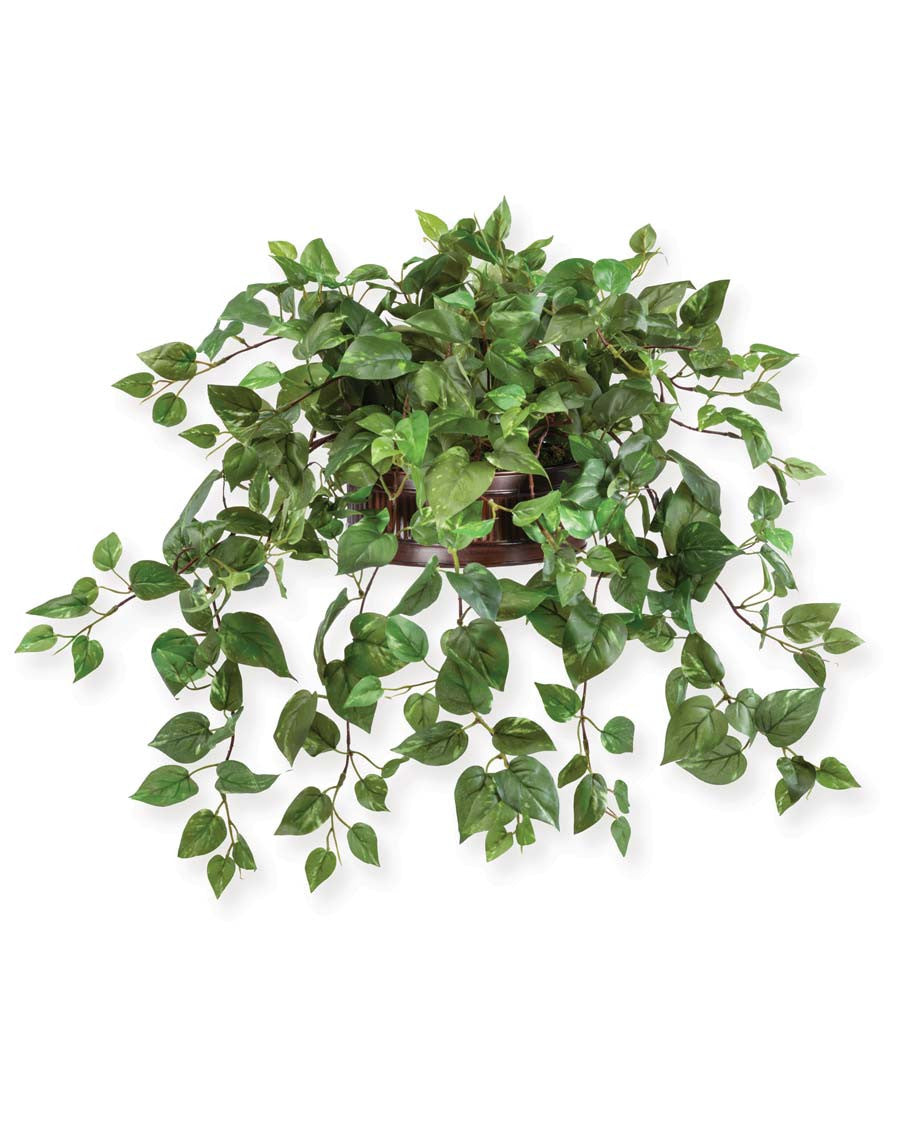 Cascading Pothos Silk Planter PLD210-GC