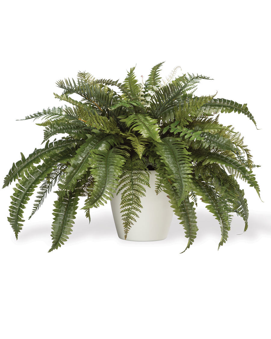 Premier Fern Faux Foliage Planter PLD283-GR