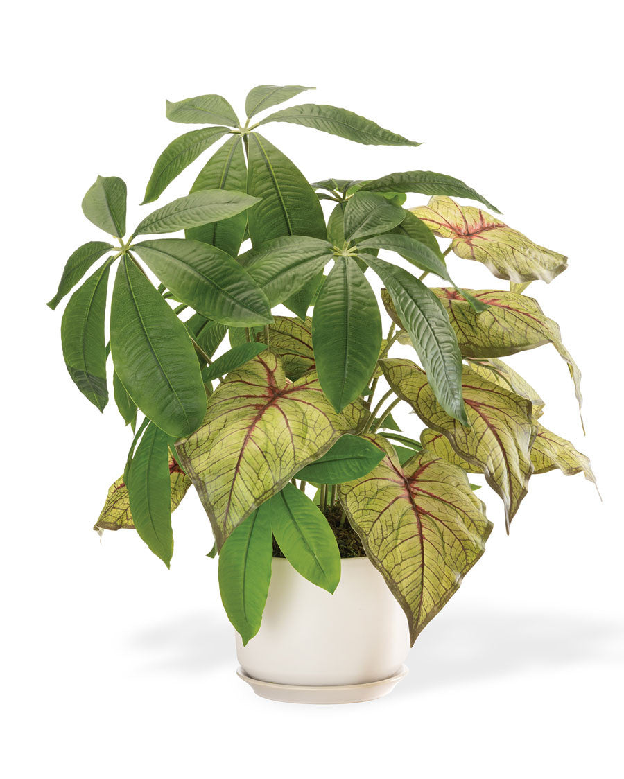 Money Tree & Caladium Faux Foliage Planter PLD361-NA