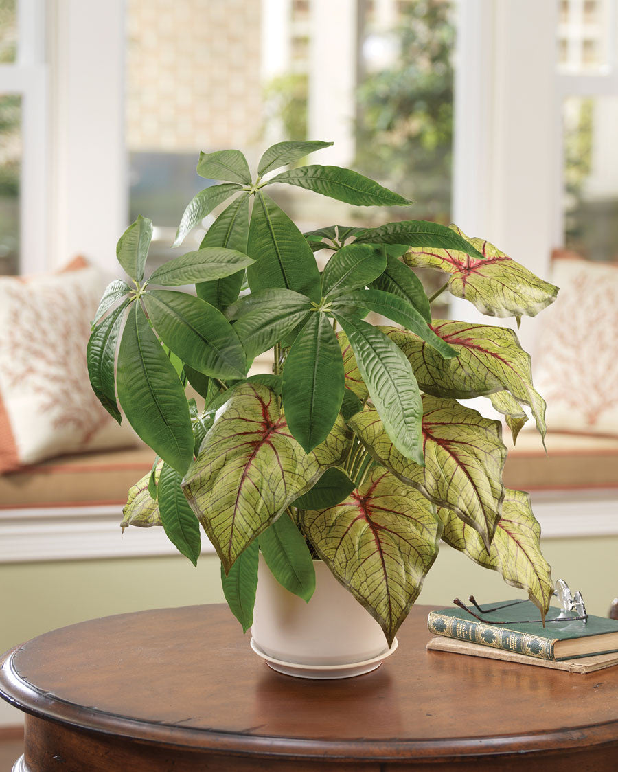 Money Tree & Caladium Faux Foliage Planter PLD361-NA