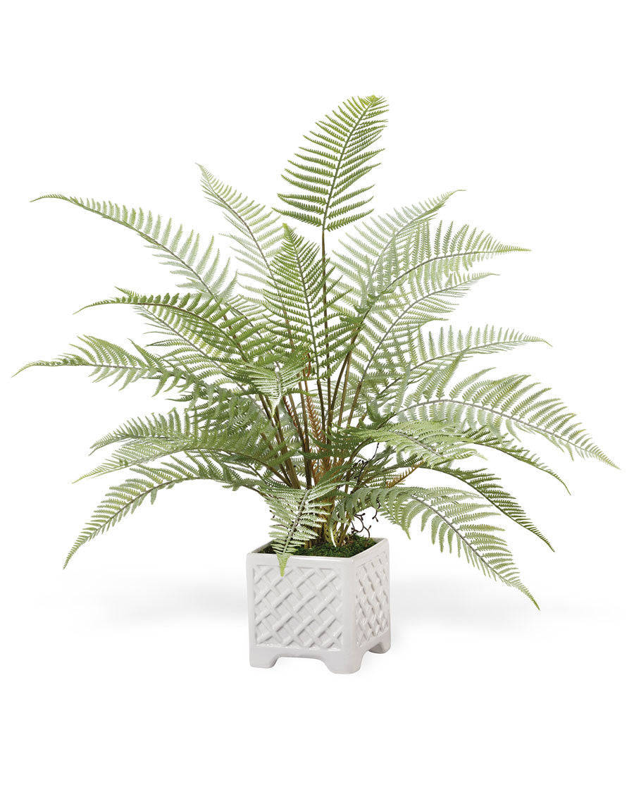 Faux Forest Fern Plant PLD405-GR
