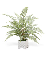Faux Forest Fern Plant PLD405-GR
