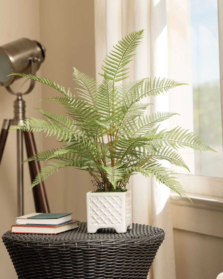 Faux Forest Fern Plant PLD405-GR