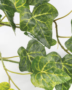 Silk English Ivy Centerpiece PLD406-GR