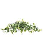Silk English Ivy Centerpiece PLD406-GR