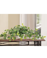 Silk English Ivy Centerpiece PLD406-GR