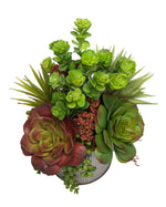 String of Pearls & Jade Artificial Succulent Arrangement PLD428-GB