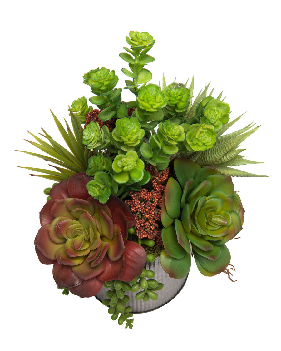 String of Pearls & Jade Artificial Succulent Arrangement PLD428-GB