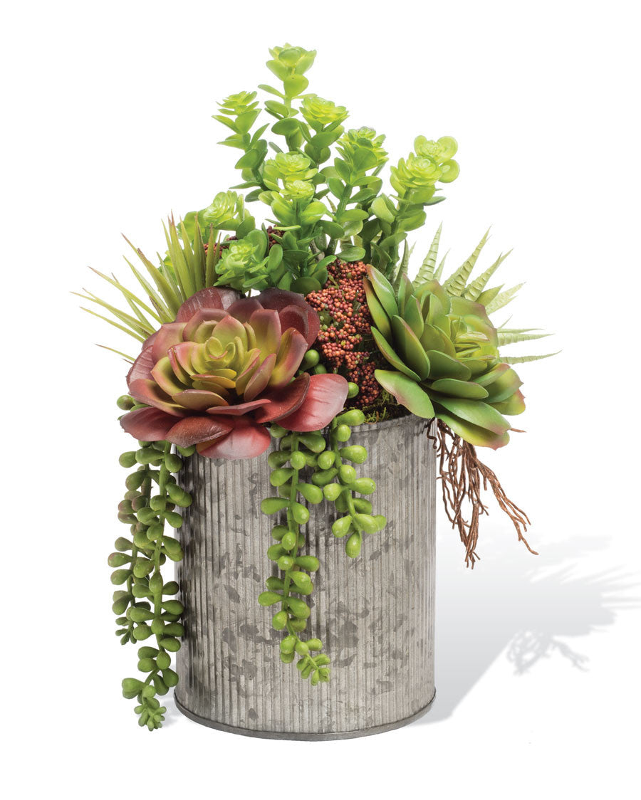 String of Pearls & Jade Artificial Succulent Arrangement PLD428-GB