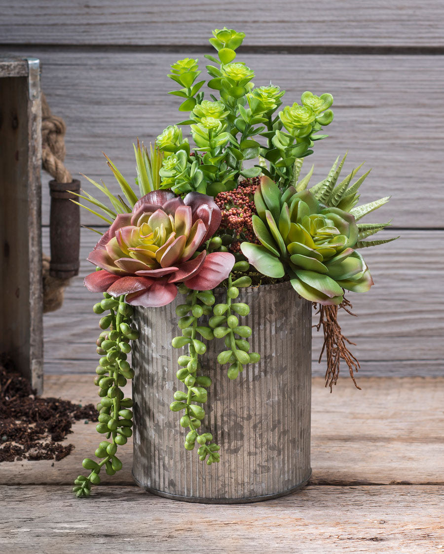 String of Pearls & Jade Artificial Succulent Arrangement PLD428-GB