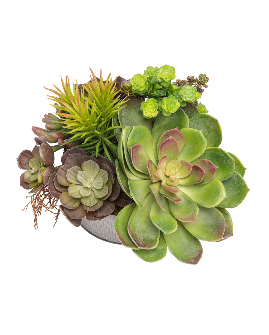 Succulent Obsession Artificial Foliage Planter PLD429-GB
