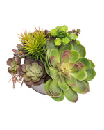 Succulent Obsession Artificial Foliage Planter PLD429-GB