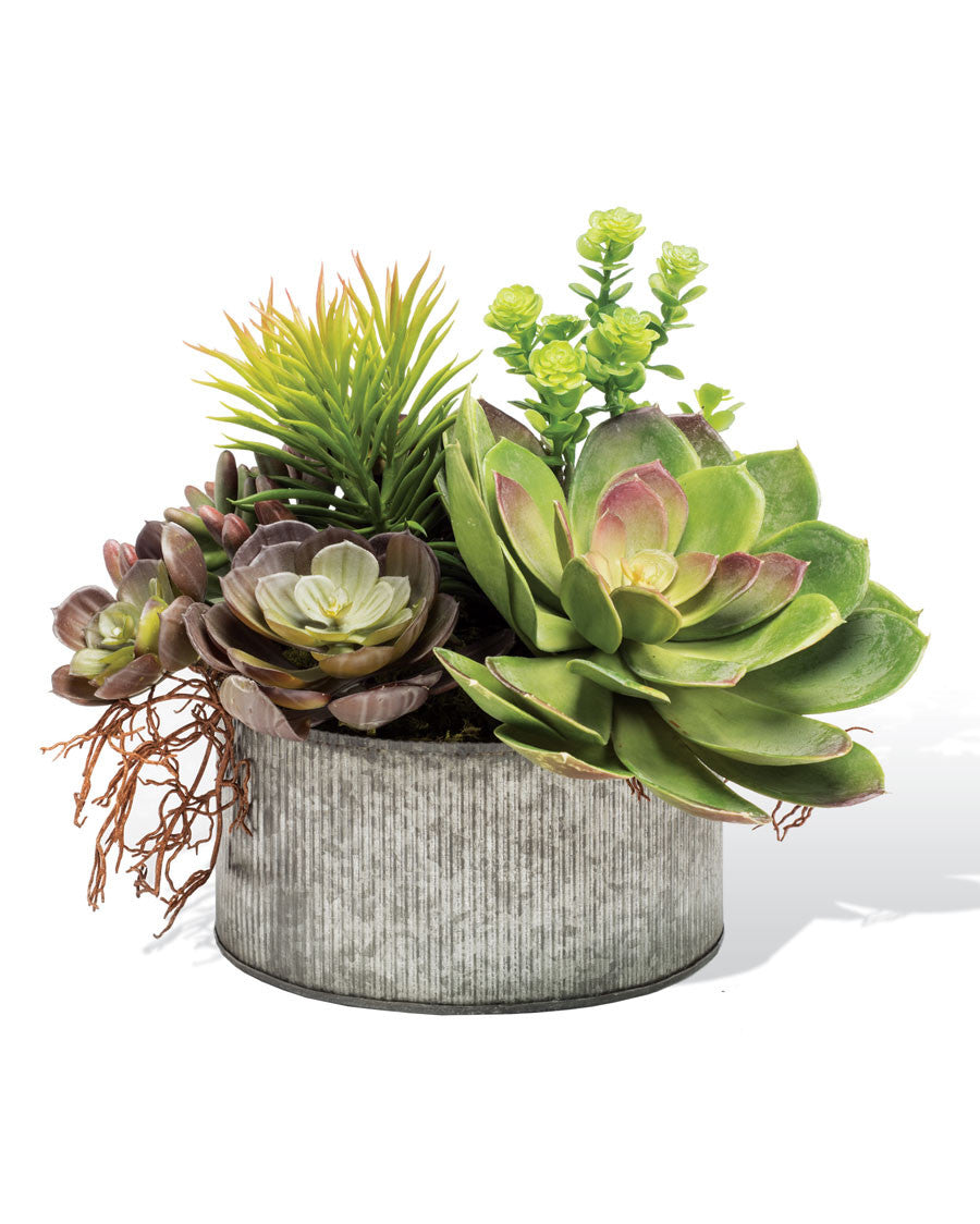 Succulent Obsession Artificial Foliage Planter PLD429-GB