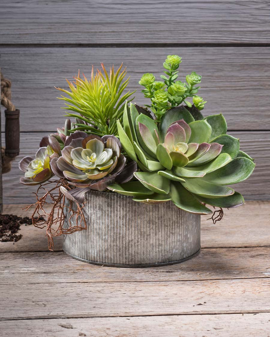 Succulent Obsession Artificial Foliage Planter PLD429-GB