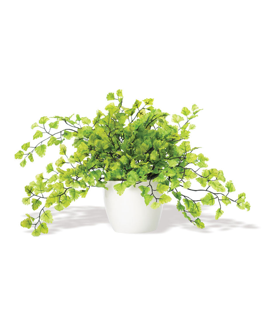 Maidenhair Fern Silk Foliage Plant PLD451-GR