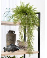 Cascading Springerii Artificial Fern Plant PLD455-GR