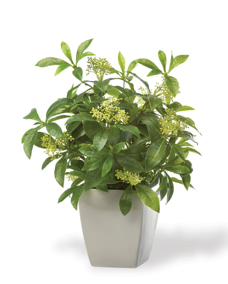 Seeded Schefflera Faux Foliage Planter PLD500-GR