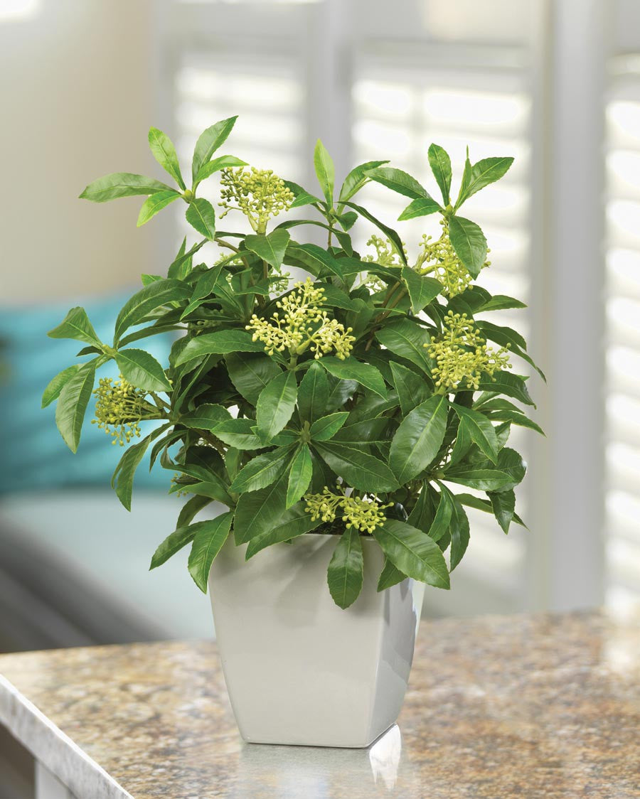 Seeded Schefflera Faux Foliage Planter PLD500-GR