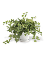 Mini English Ivy Silk Plant PLD508-GR