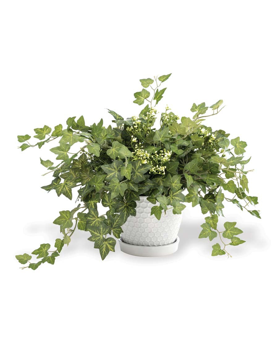 Mini English Ivy Silk Plant PLD508-GR