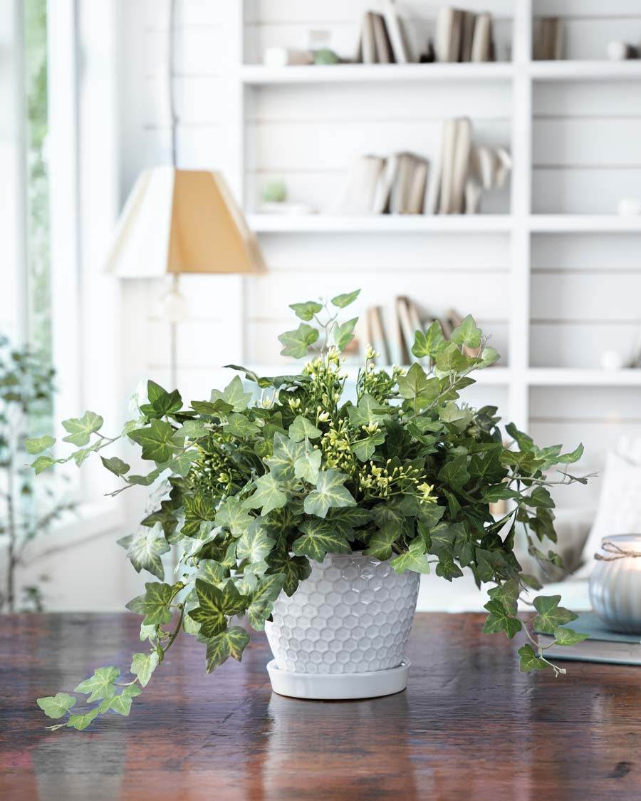 Mini English Ivy Silk Plant PLD508-GR