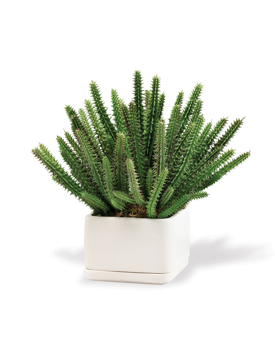 Desktop Cactus Faux Succulent Planter PLD532-GR