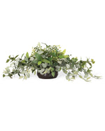 Fittonia, Laurel & Berries Mixed Faux Foliage Arrangement PLD533-GC