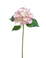 21" Silk Hydrangea Flower Stem S1577