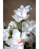 24" Faux Tree Magnolia Flower Stem S1802-CHPN