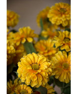 24" Zinnia Silk Flower Stem S2865