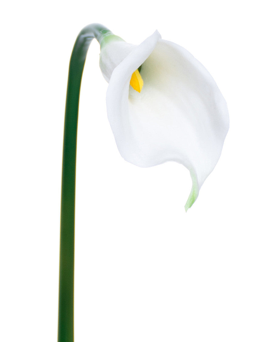 24" Silk Calla Lily Bud Flower Stem S3064