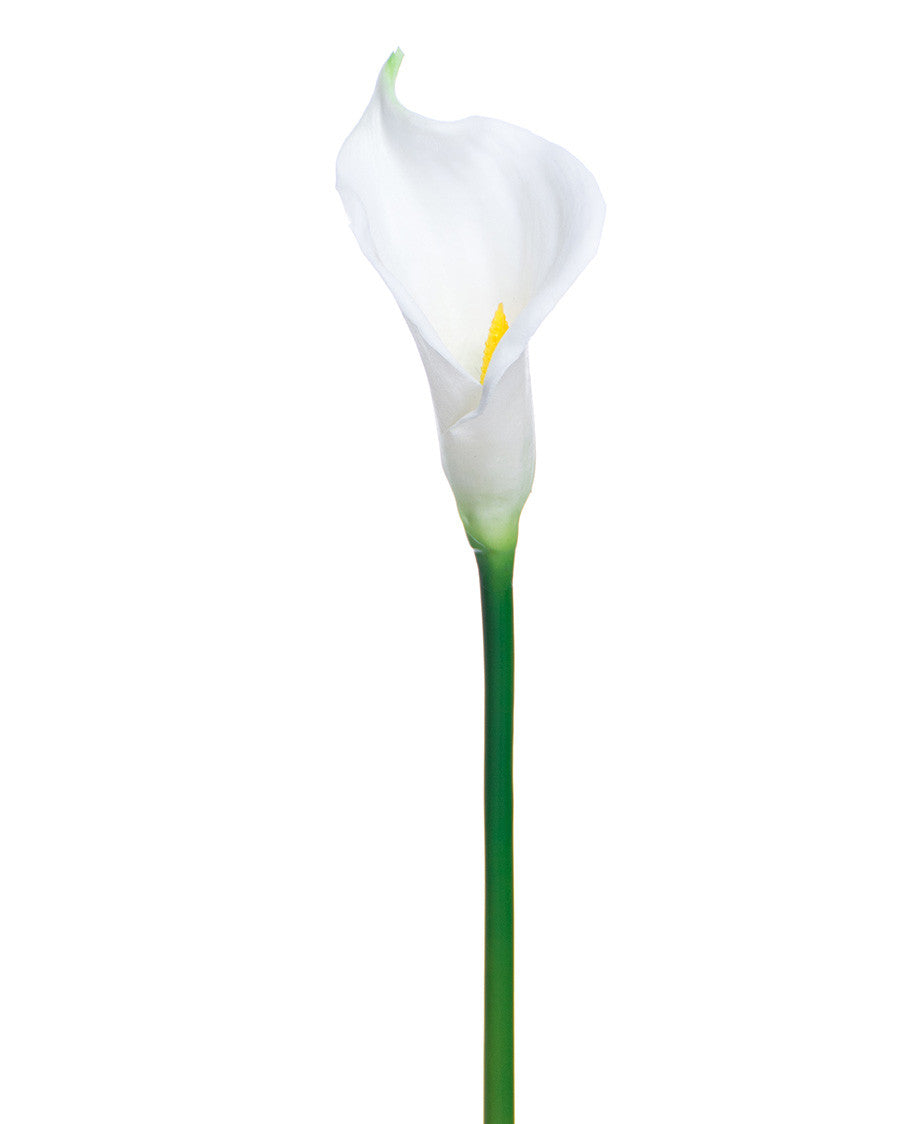 24" Silk Calla Lily Bud Flower Stem S3064