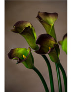 24" Silk Calla Lily Bud Flower Stem S3064